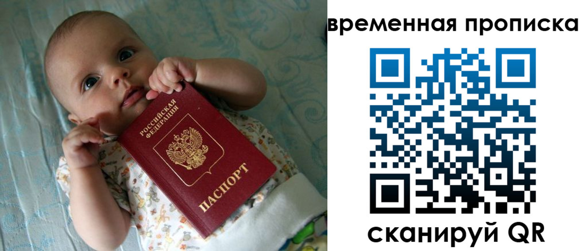 найти адрес прописки в Калуге
